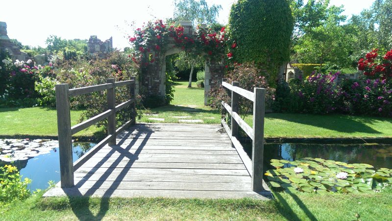 The Worshipful Company of Gardeners - Lunch & Tea Party at Capel Manor Gardens, June 2014